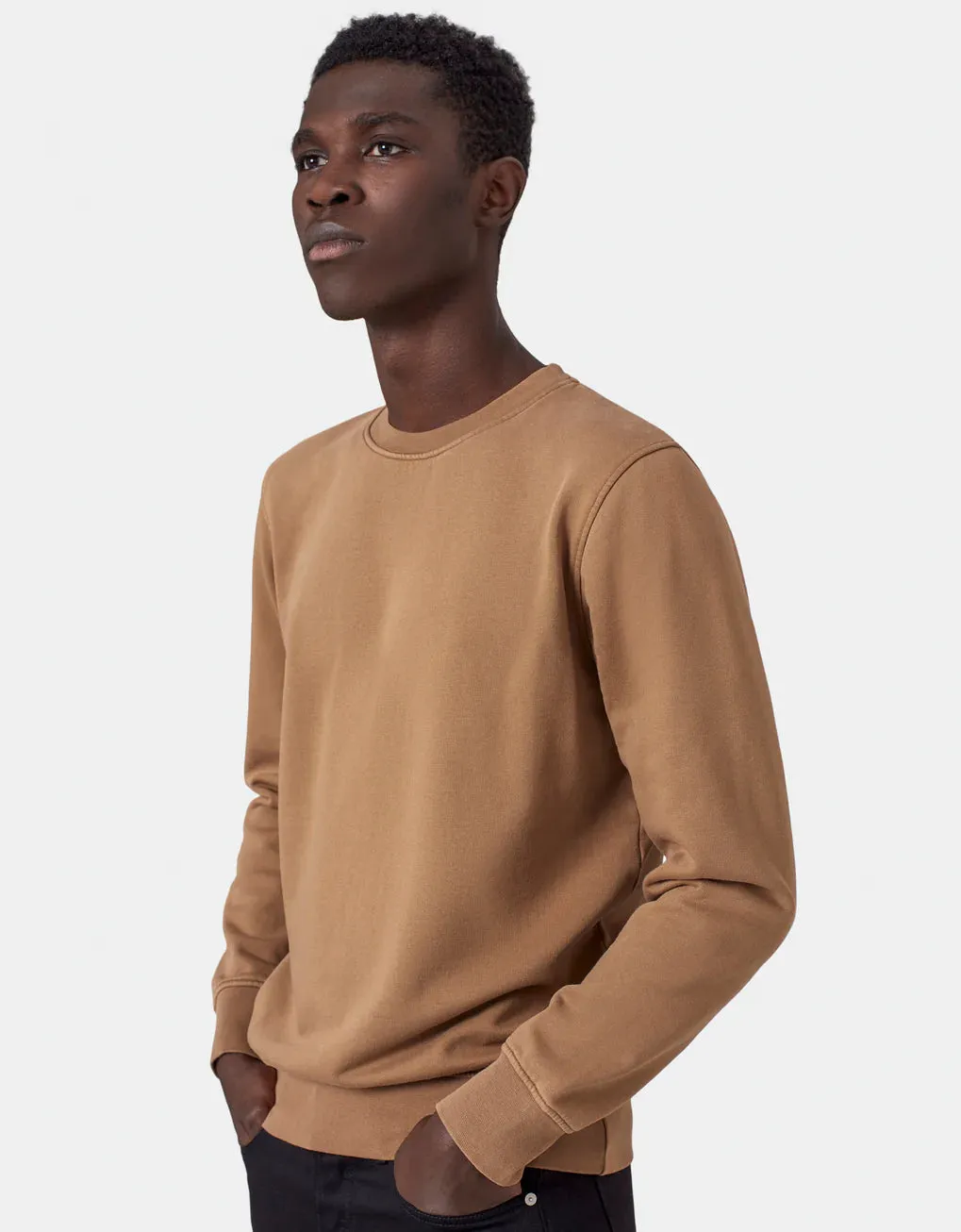 COLORFUL STANDARD | Classic Organic Crewneck | Dusty Plum