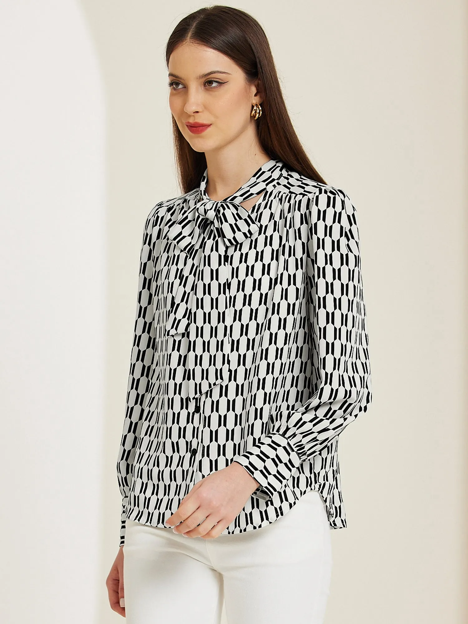 Tie Neck Lantern Long Sleeve Elegant Casual Work Shirts